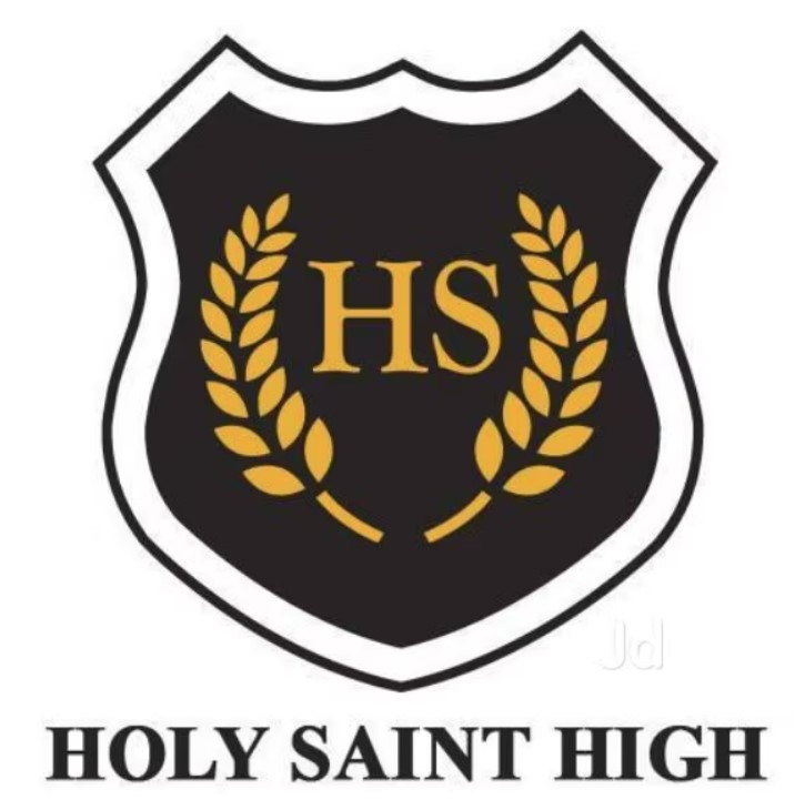 Holy Saint High School
