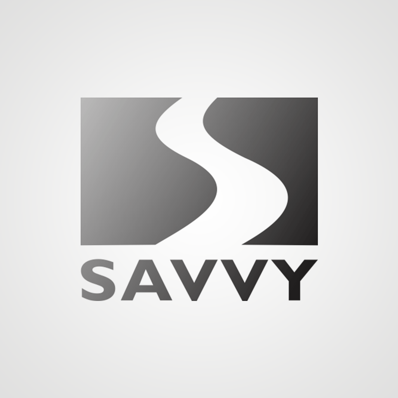 Savvy Group (Savvy Infrastructures Pvt. Ltd.)