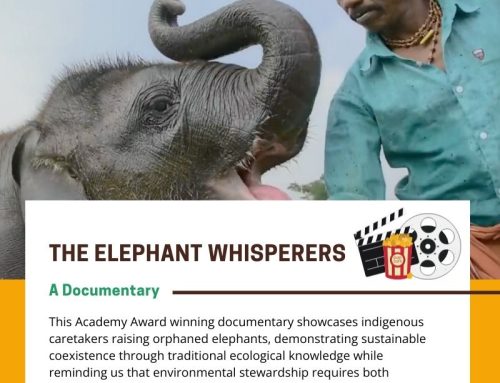 The Elephant Whisperers